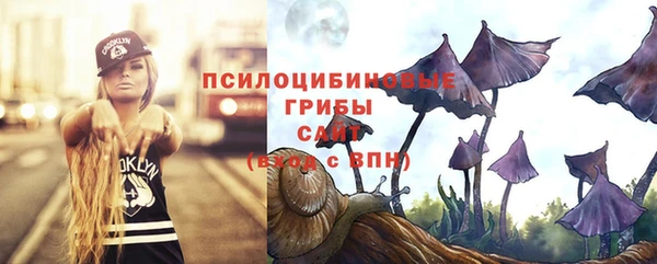 СК Билибино