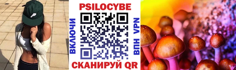 продажа наркотиков Абакан Псилоцибиновые грибы Magic Shrooms